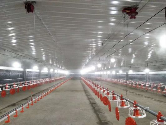Гальванизированная сборная стальная конструкция птицекомнатный курортный курортный курорт огнестойкий