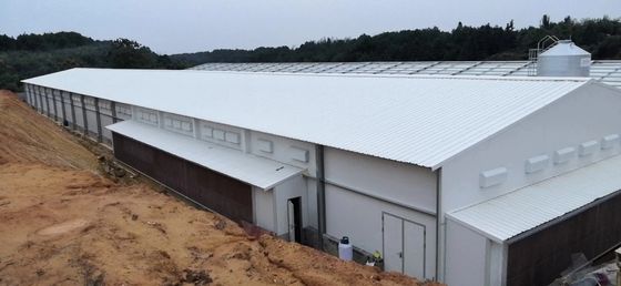 Специальное хозяйство Стальная конструкция Птицеводческие сараи Q235B Q355B Оцинкованная стальная плитка