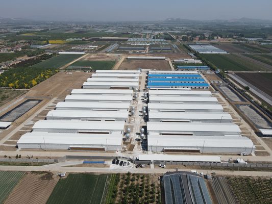 Промышленные стальные конструктивные здания Преfabricated Steel Poultry House Customized