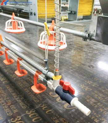 Специализированная стальная куриная ферма, легкая стальная рама Ферма зданий