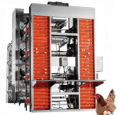Тип Батарейный слой Куриная клетка Автоматическое оборудование для выращивания куриной птицы